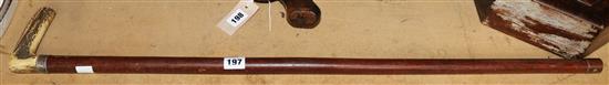 Walking stick and cane